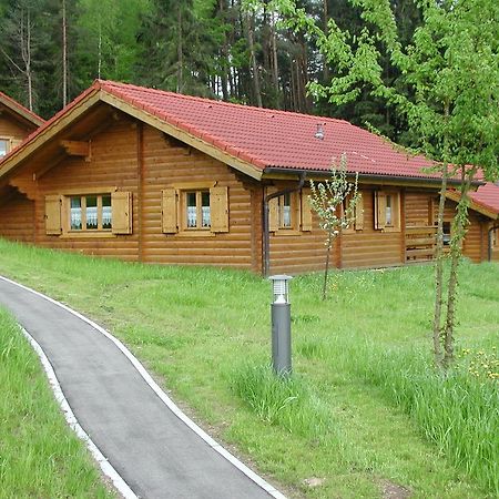 Blockhaus Bayerischer Wald Stamsried Dış mekan fotoğraf