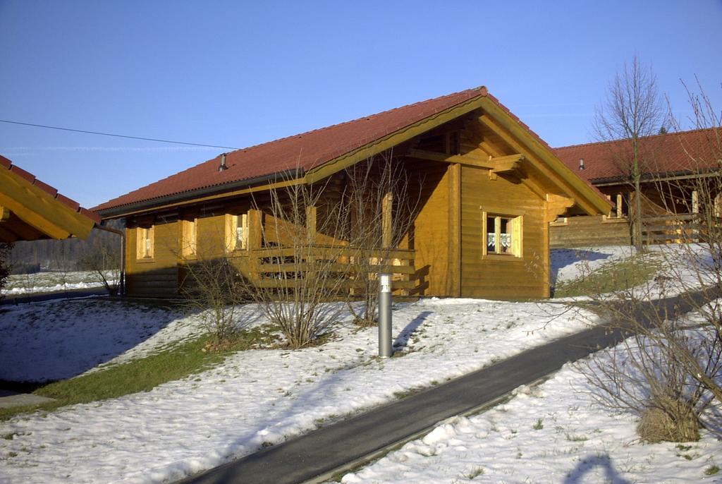 Blockhaus Bayerischer Wald Stamsried Dış mekan fotoğraf